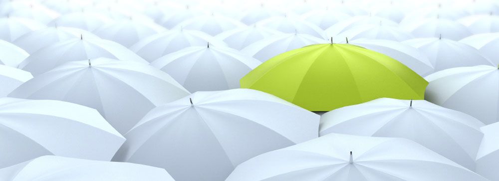 Orientarsi nella selezione di una soluzione software di mercato per la propria azienda o ente